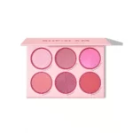 پالت رژگونه شیگلم مدل Blushing Bouquet