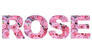 rose